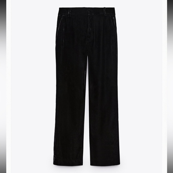 BNWT Zara Velvet Pants - Picture 1 of 2